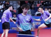 开云官方app入口-葡萄牙队碾压奥地利队，林高远高光表现的简单介绍