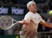 开云官方app入口-包含世界网球队横扫德国网球队，阿尔卡拉斯绝境逆转的词条