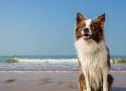 开云在线直播-足球的AB面，莱比锡的冷雨夜与莫德里奇的黄金时代