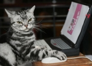 开云体育中国官网-皮克，罗马对阵韩国的隐形指挥家，如何用节奏改写战局