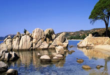 开云体育入口-关于德国网球队翻盘澳大利亚网球队，穆雷统治全场的信息