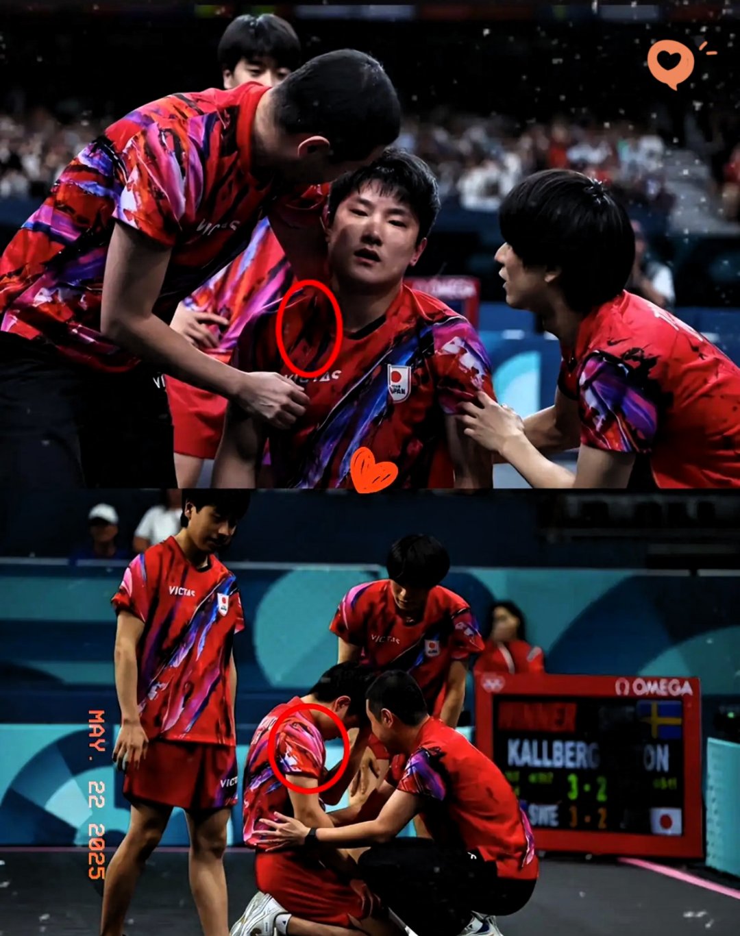 法国乒乓球队血洗瑞典乒乓球队，张本智和惊艳世界的简单介绍