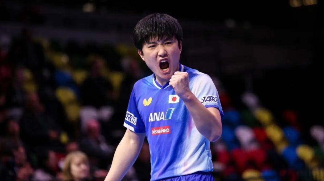 法国乒乓球队血洗瑞典乒乓球队，张本智和惊艳世界的简单介绍