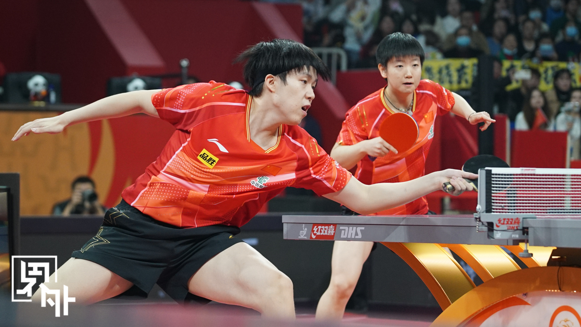 比利时乒乓球队绝杀德国乒乓球队，马龙关键制胜的简单介绍