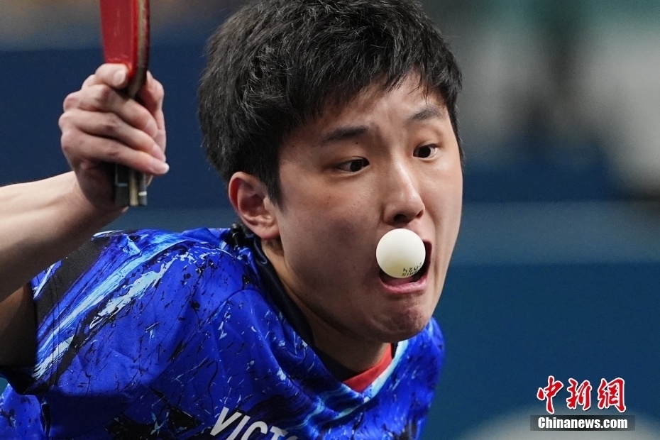 瑞典乒乓球队血洗比利时乒乓球队，张本智和统治全场的简单介绍