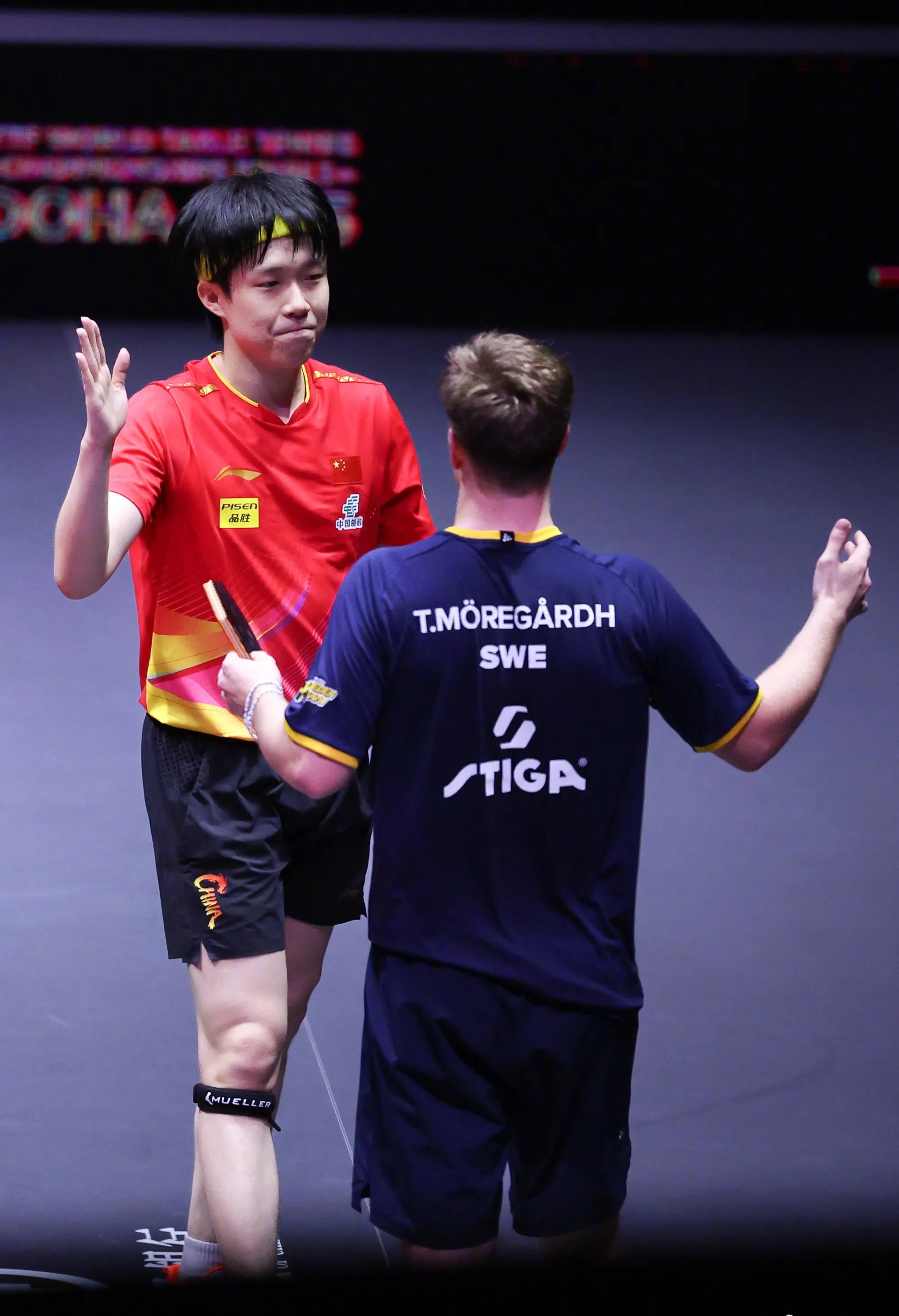 关于奥地利队绝杀法国队，张继科惊艳四座的信息