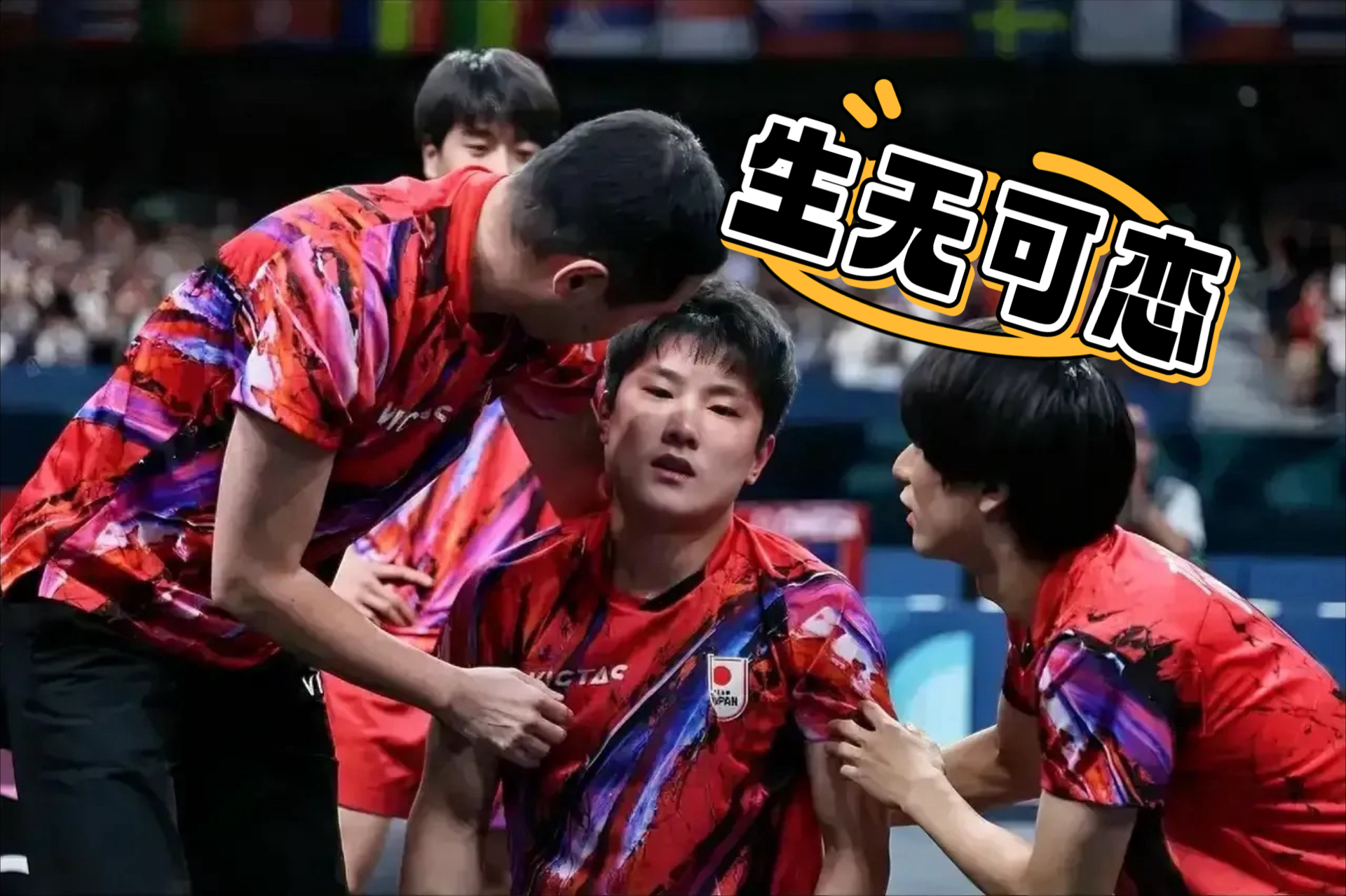 包含瑞典乒乓球队逆转日本乒乓球队,张本智和爆发神勇的词条 包含瑞典乒乓球队逆转日本乒乓球队,张本智和爆发神勇的词条