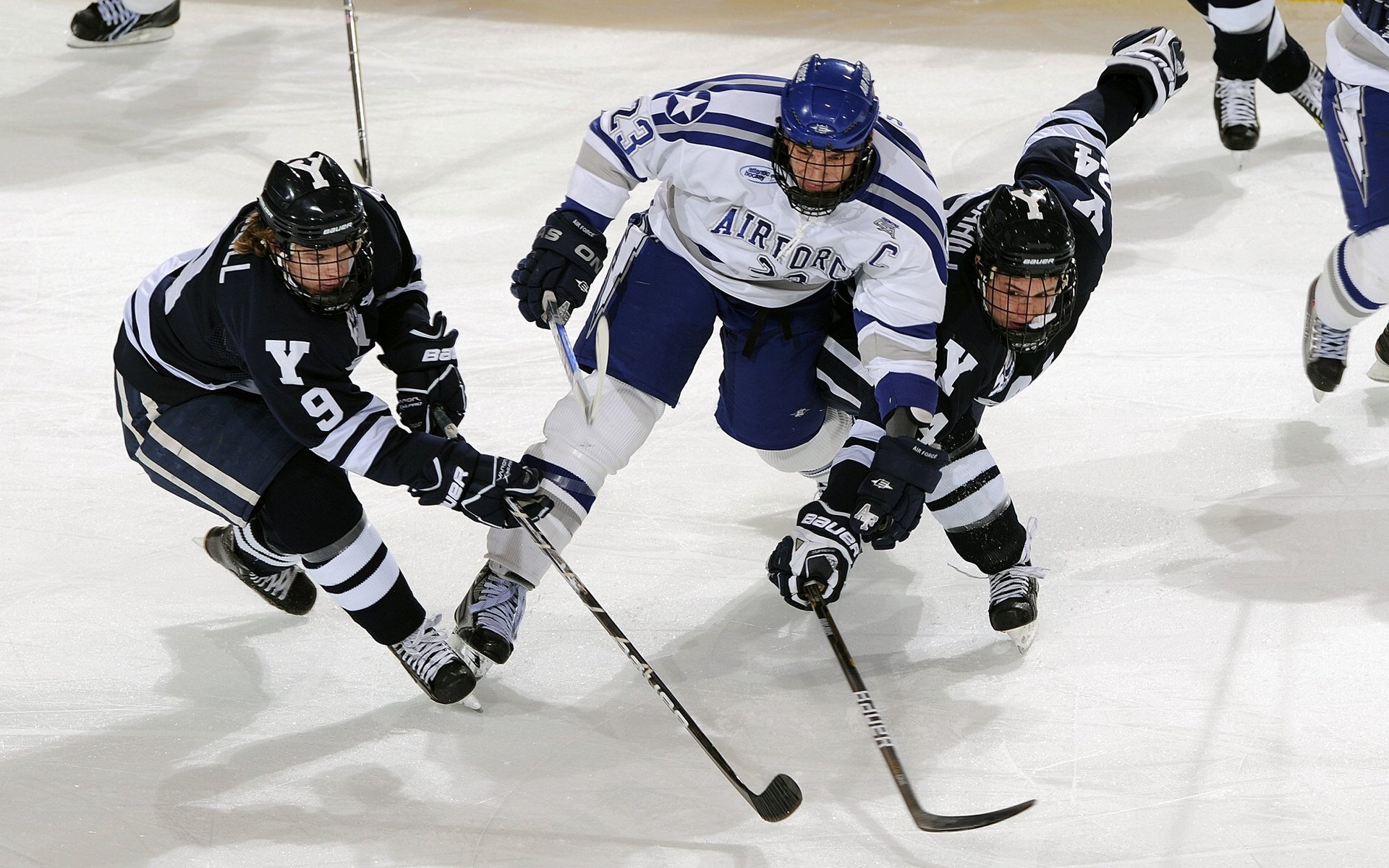 当国王驾临广东,文班亚马如何用存在感重新定义篮球维度